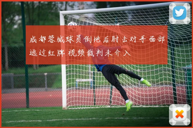 成都蓉城球员倒地后肘击对手面部逃过红牌 视频裁判未介入